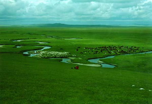 Inner Mongolia Grassland Tour